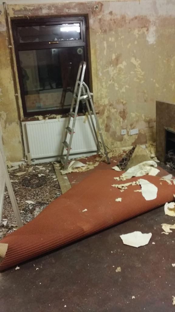 Plastering & Decoration