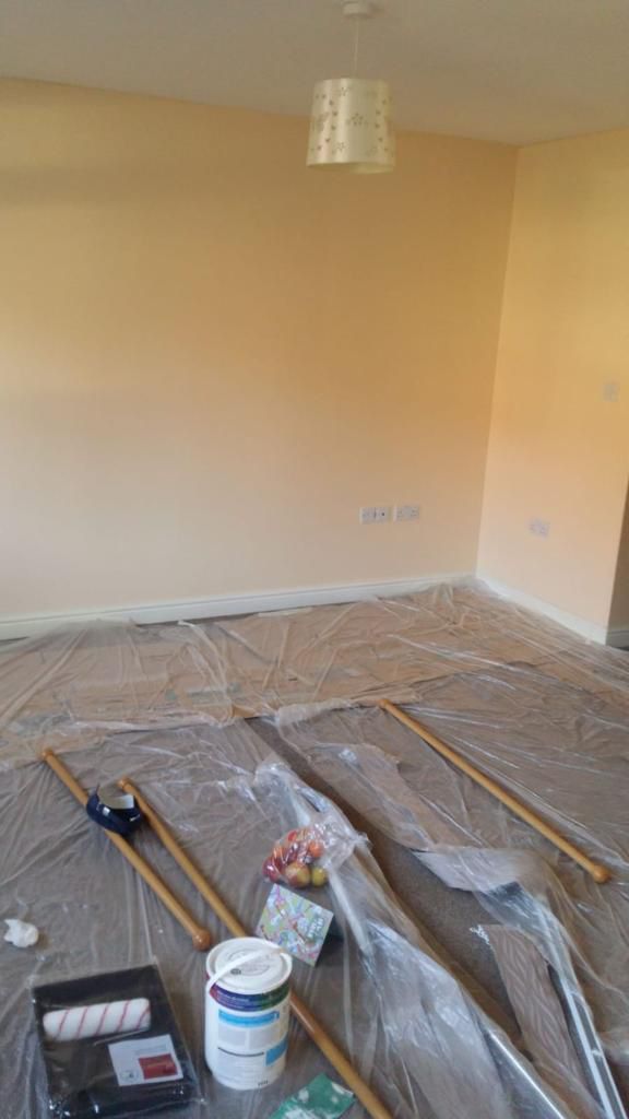 Plastering & Decoration